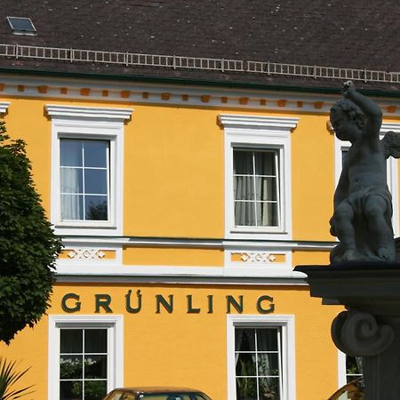 Gasthof Gruenling Wallsee Экстерьер фото