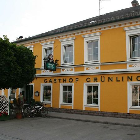 Gasthof Gruenling Wallsee Экстерьер фото
