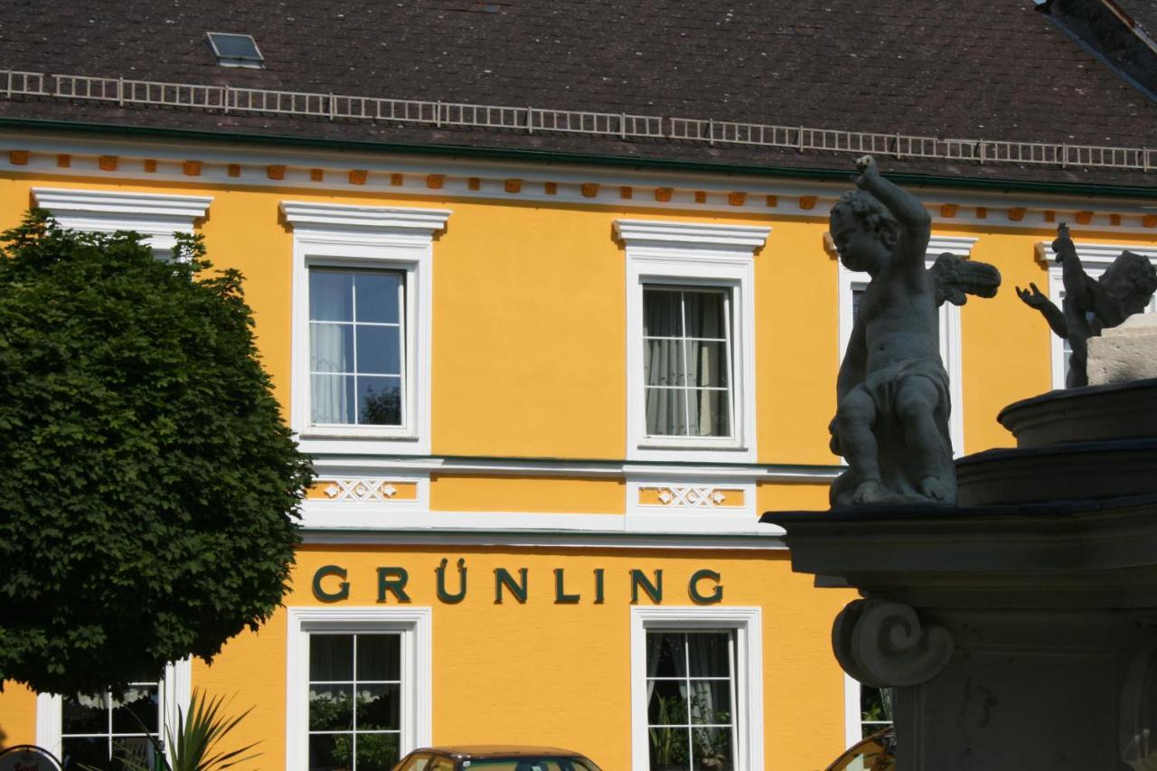 Gasthof Gruenling Wallsee Экстерьер фото