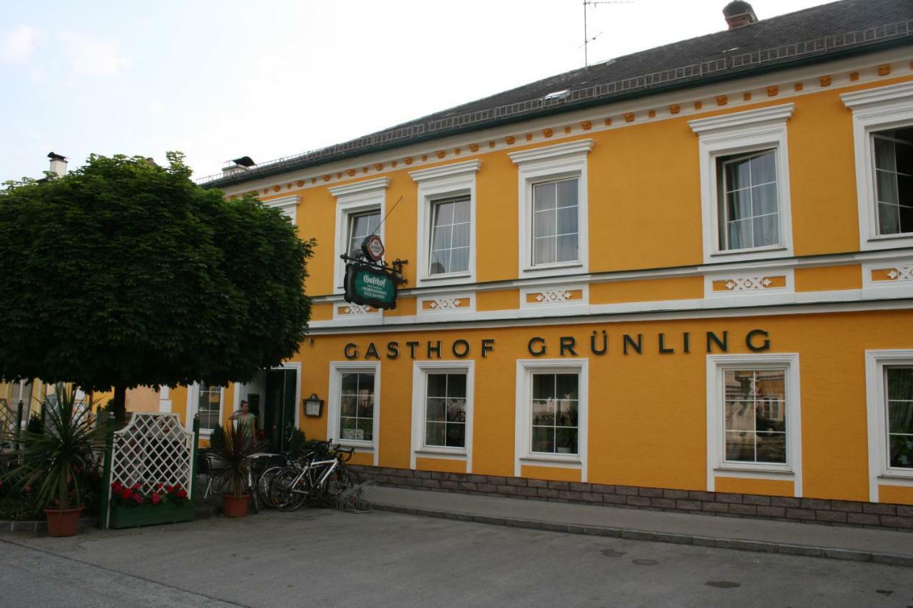 Gasthof Gruenling Wallsee Экстерьер фото